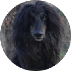 Profile photo of Bayou Roads