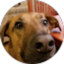 Profile photo of Jennifer Feder