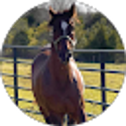 Profile photo of Serenity Stables