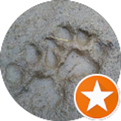 Profile photo of Creekside chriz