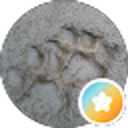 Profile photo of Creekside chriz