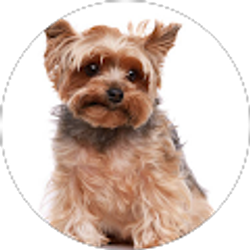 Profile photo of NZee