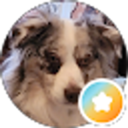 Profile photo of Meg Flynn