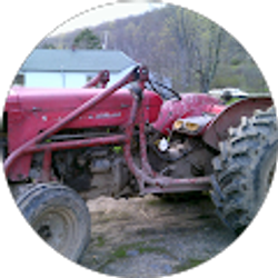 Profile photo of Ginny Barrett