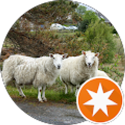 Profile photo of Dan Cunningham