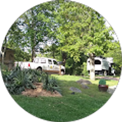 Profile photo of Gprofessional Treeservice