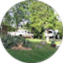 Profile photo of Gprofessional Treeservice