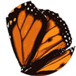 Profile photo of Bambi Osgood