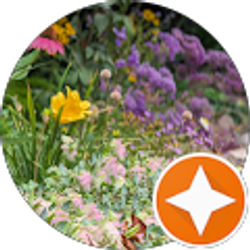 Profile photo of Maureen Pramanik