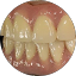 Profile photo of Champa Patel