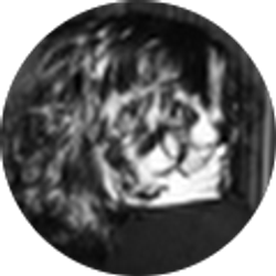 Profile photo of Shaina Farrer