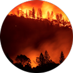 Profile photo of Danny Glessner