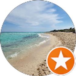 Profile photo of O D