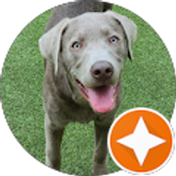 Profile photo of jen booth