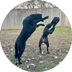 Profile photo of ben l