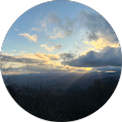 Profile photo of Cathy Mitri