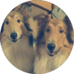 Profile photo of Nancy Barrows