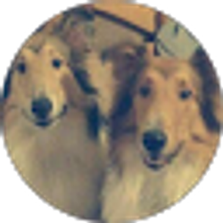 Profile photo of Nancy Barrows