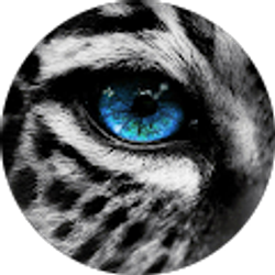 Profile photo of Dominic