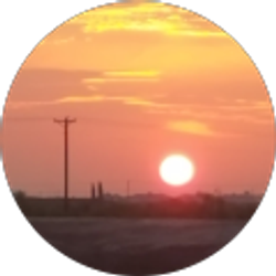 Profile photo of Art Fox