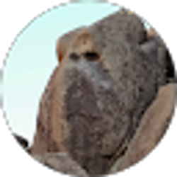 Profile photo of Moyer Chen