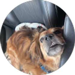 Profile photo of ella. morgan