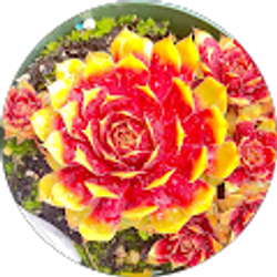 Profile photo of Wendy R