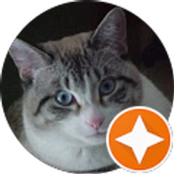 Profile photo of Gloria Lyons