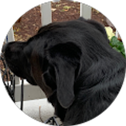 Profile photo of Barb Henry