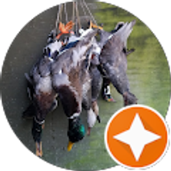 Profile photo of Andrew Daves