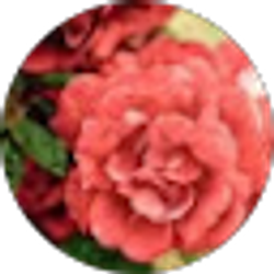 Profile photo of Christina Hogan