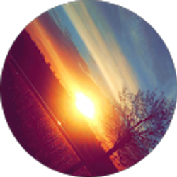 Profile photo of Shaun Williams