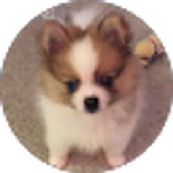 Profile photo of Zoey Avlas