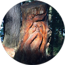 Profile photo of James McBride