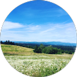 Profile photo of Peter K