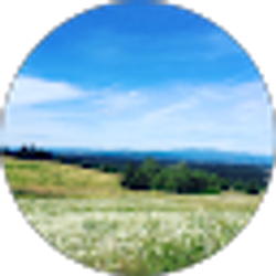 Profile photo of Peter K