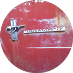 Profile photo of Brad Cobb