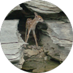 Profile photo of Kim Newhouse