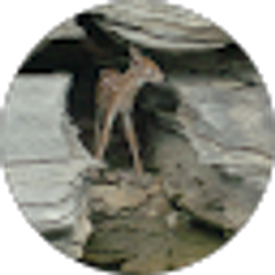 Profile photo of Kim Newhouse