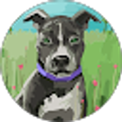 Profile photo of P J