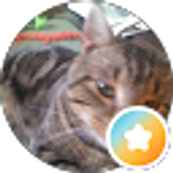 Profile photo of rhea bailey