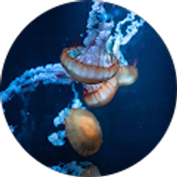 Profile photo of Kc Lynndi