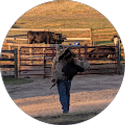 Profile photo of Richard Collins