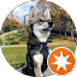 Profile photo of Krista Galauxy