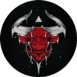 Profile photo of Steven Ching