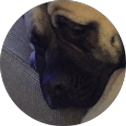 Profile photo of Stacey Sieczkowski