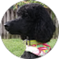 Profile photo of Thalia Orfas