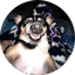 Profile photo of Mark Lucier