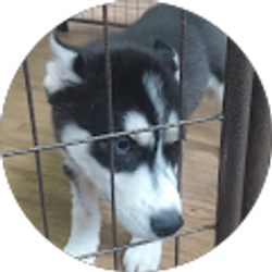 Profile photo of Esperanza Moran