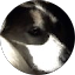 Profile photo of Deb Logan